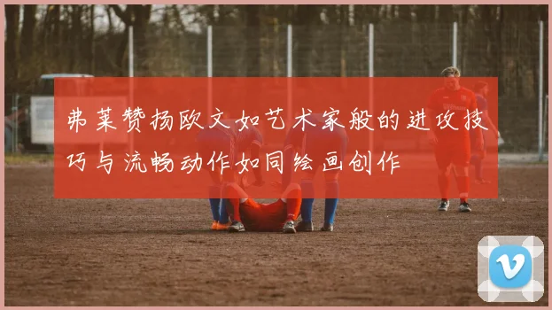 弗莱赞扬欧文如艺术家般的进攻技巧与流畅动作如同绘画创作