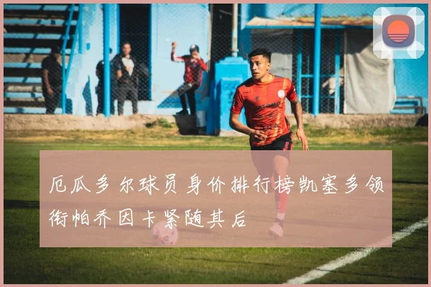 厄瓜多尔球员身价排行榜凯塞多领衔帕乔因卡紧随其后